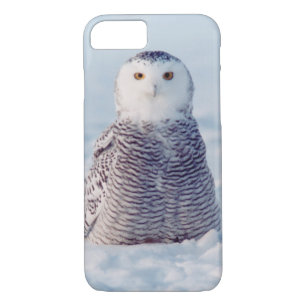 Coque de la Chouette des neiges de l'Arctique de l