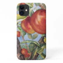Coque de la récolte de fruits de l'orchidée de l'a