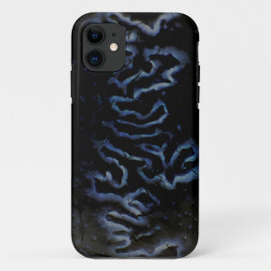 coque de mise en valeur de Fontanelle