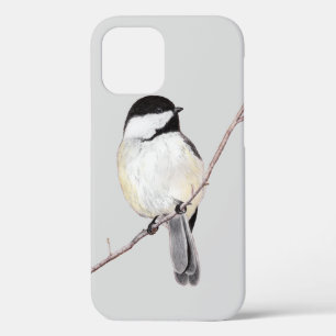 Coque de poulet