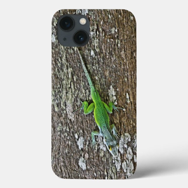 Coque Gecko (Verso)