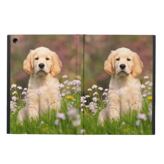 Coque iPad Air Chiot mignon de Goldie de chien de golden (Extérieur)