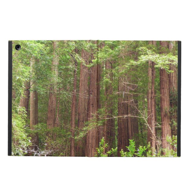 Coque iPad Air Les séquoias au monument national de Muir Woods (Extérieur)