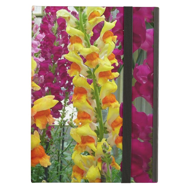 Coque iPad Air Snapdragons colorés floraux (Devant fermé)