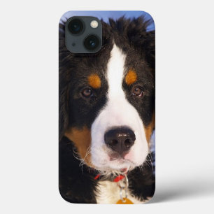 Coque ipad de la coupe de chien de montagne bernoi