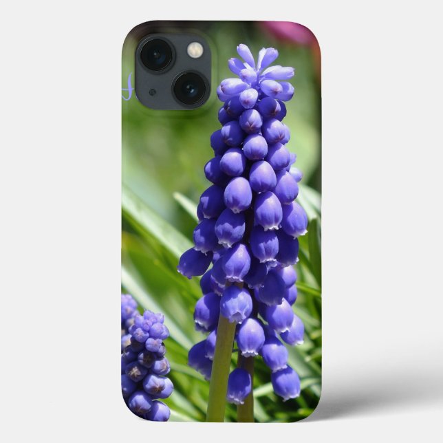 Coque ipad Muscari (Grape Hyacinth) (Verso)