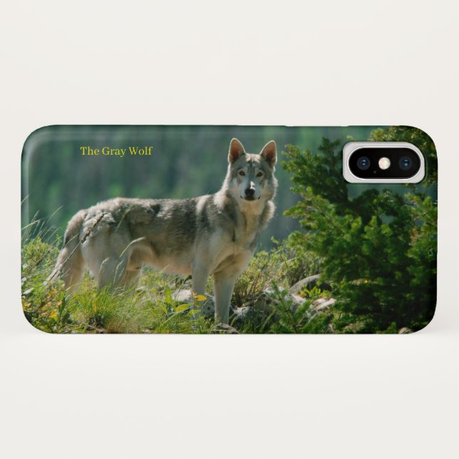 coque iphone (Dos (Horizontal))