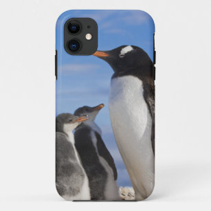 Coque iPhone 11 Antarctique, Neko Cove (port). Pingouin Gentoo 2