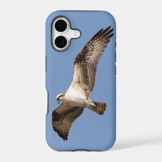 coque iPhone 11 avec balbuzard