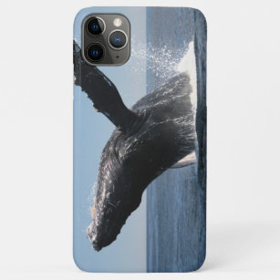 Coque iPhone 11 Pro Max Violation adulte de baleine de bosse