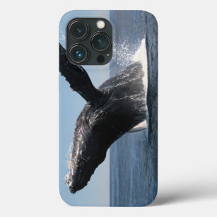 iPhone 13 Pro Coque Violation adulte de baleine de bosse