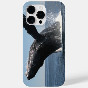 Coques Pour iPhone Violation adulte de baleine de bosse