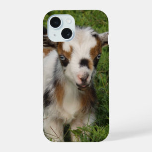Coque iPhone 15 Adorable chevre naine nigériane laitière aux yeux