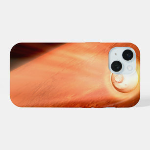 Coque iPhone 15 Aeroshell avec l'atterrissage du rover Perseveranc