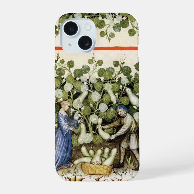Coque iPhone 15 ARRÊT DE LA PLAQUE ANTIQUE Squash Art médiéval (Verso)