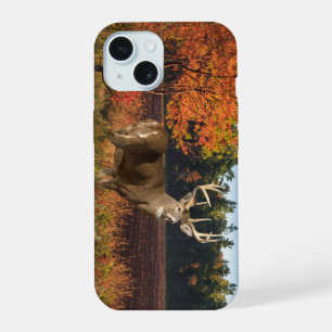 Coque iPhone 15 Big Whitetail Buck frappe un poteau