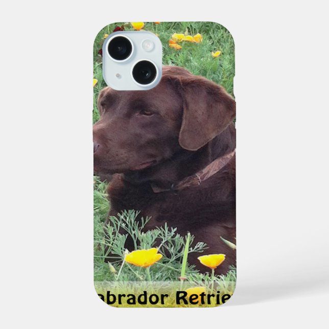 Coque iPhone 15 Brown Labrador Retriever in Poppy Patch (Verso)