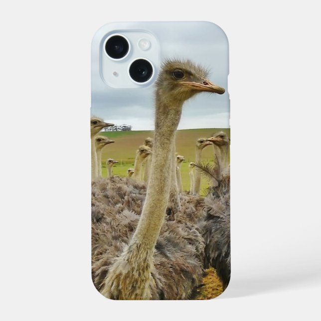Coque iPhone 15 Champ d'autruches (Verso)