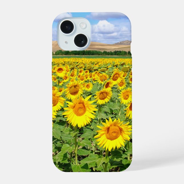 Coque iPhone 15 Champ de tournesols (Verso)