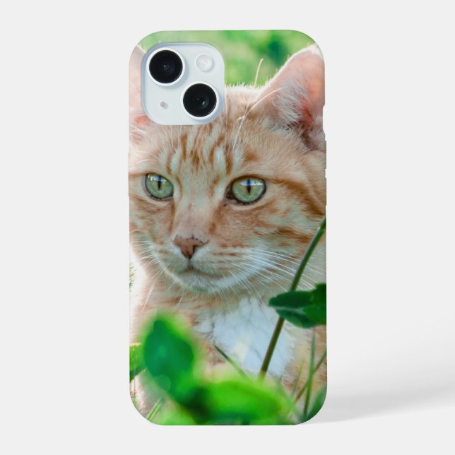 Coque iPhone 15 Chat dans la nature (Verso)