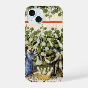 Coque iPhone 15 CITROUILLE ANTIQUE  RÉCOLTE Citrouilles Art Médiév