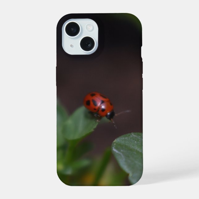 Coque iPhone 15 Coccinelle sur fleurs (Verso)