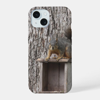 Coque iPhone 15 Écureuil