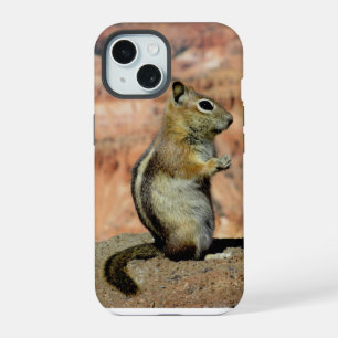 Coque iPhone 15 Écureuil terrestre à mante doré