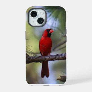 Coque iPhone 15 Étui de téléphone Cardinal du Nord