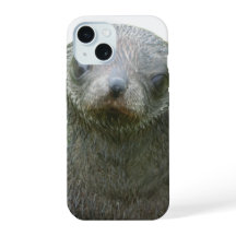 Étui pour iPhone 15 avec bébé phoque mignon