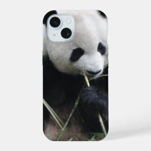 Coque iPhone 15 Étui pour iPhone 15 Panda Mignon