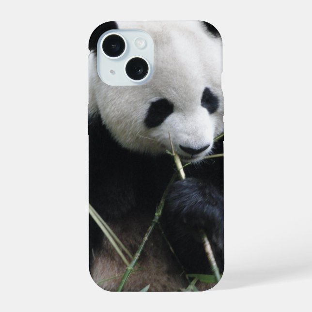 Coque iPhone 15 Étui pour iPhone 15 Panda Mignon (Verso)