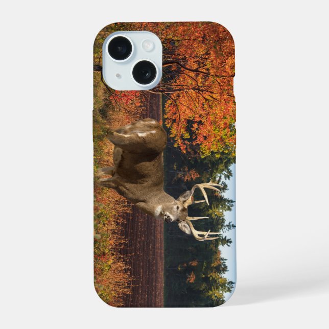 Coque iPhone 15 Grand buck à queue blanche frappe une pose (Verso)