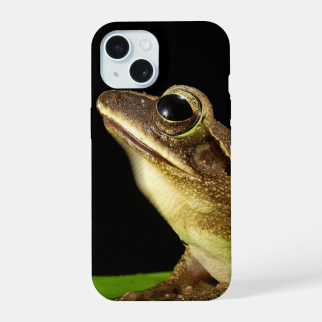 Coque iPhone 15 Grenouille commune sur une feuille (Verso)