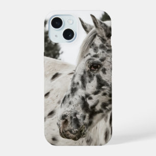 Coque iPhone 15 Magnifique cheval Appaloosa noir et blanc, western