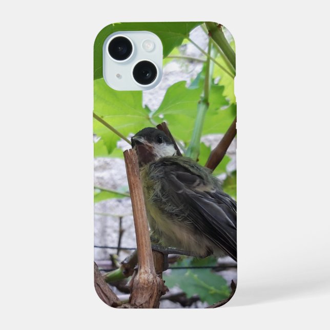 Coque iPhone 15 Mésange charbonnière le Parus Major (Verso)