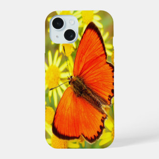 Coque iPhone 15 Papillon orange clair Fleurs jaunes