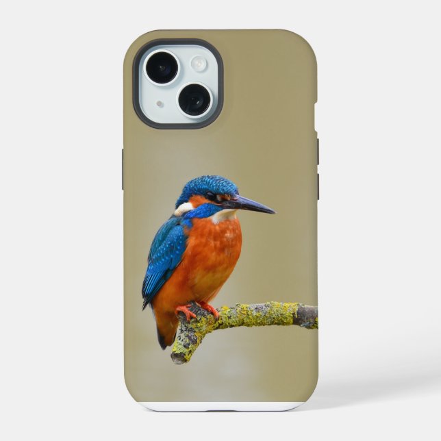 Coque iPhone 15 Perching Kingfisher (Verso)