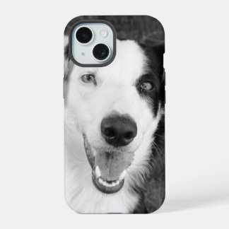 Coque iPhone 15 Photo de chien noir et blanc Personnalisable
