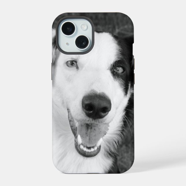 Coque iPhone 15 Photo de chien noir et blanc Personnalisable (Verso)