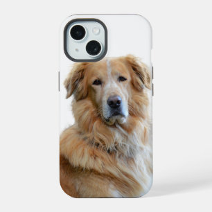 Coque iPhone 15 Photo de chien Retriever doré