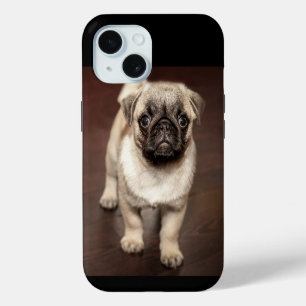 Coque iPhone 15 Photo de chiot carlin mignon