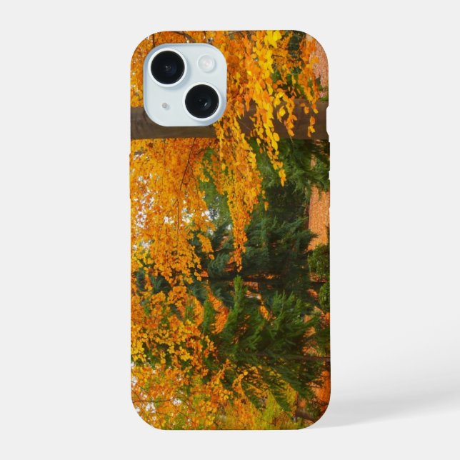 Coque iPhone 15 Pins à feuillage persistant et arbres d'automne (Verso)
