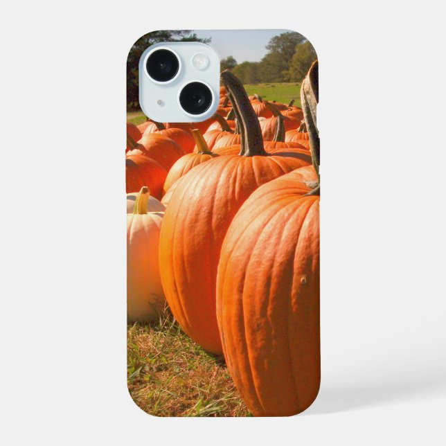 Coque iPhone 15 Récolte de citrouilles, citrouilles de champ de ci (Verso)