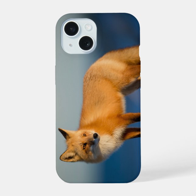 Coque iPhone 15 Renard Brun (Verso)