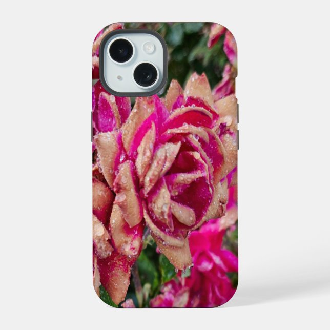 Coque iPhone 15 Roses antiques (Verso)
