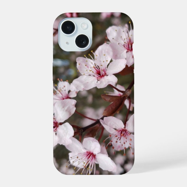 Coque iPhone 15 Sakura de printemps (Verso)