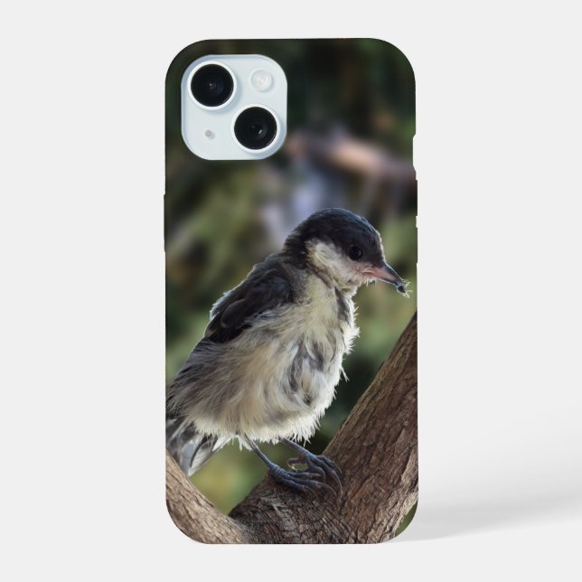 Coque iPhone 15 Tidi my Bird le Parus Major (Verso)