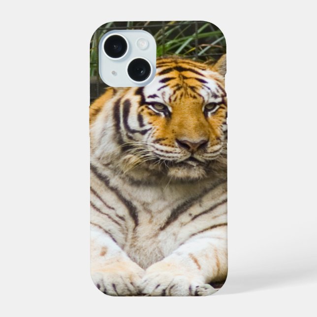 Coque iPhone 15 Tigre (Verso)