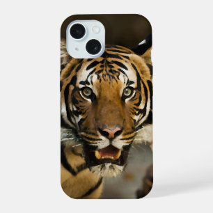 Coque iPhone 15 Tigre de Sibérie